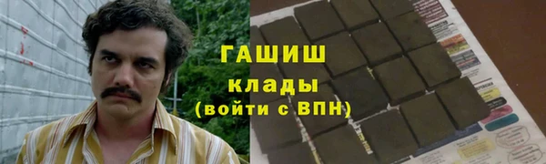 прущие грибы Алзамай