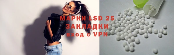 apvp Алексин