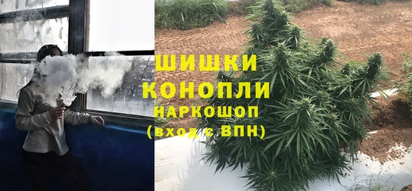 прущие грибы Алзамай