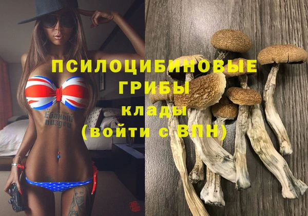 apvp Алексин