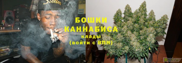 прущие грибы Алзамай